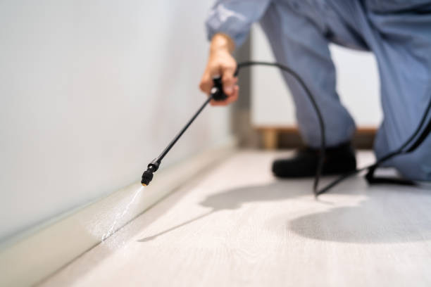 Bed Bug Pre-Treatment Preparation Assessment in Lanett