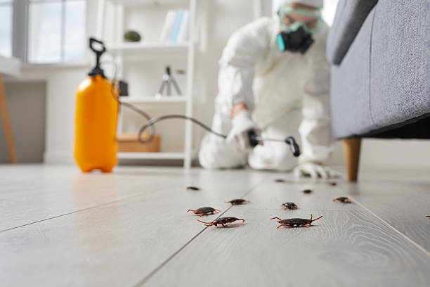 Post-Treatment Bed Bug Interceptor Monitoring in Lanett